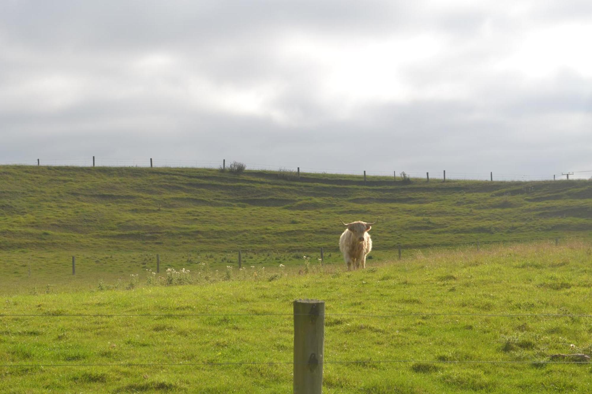 Highlands On Homestead Oamaru Eksteriør billede