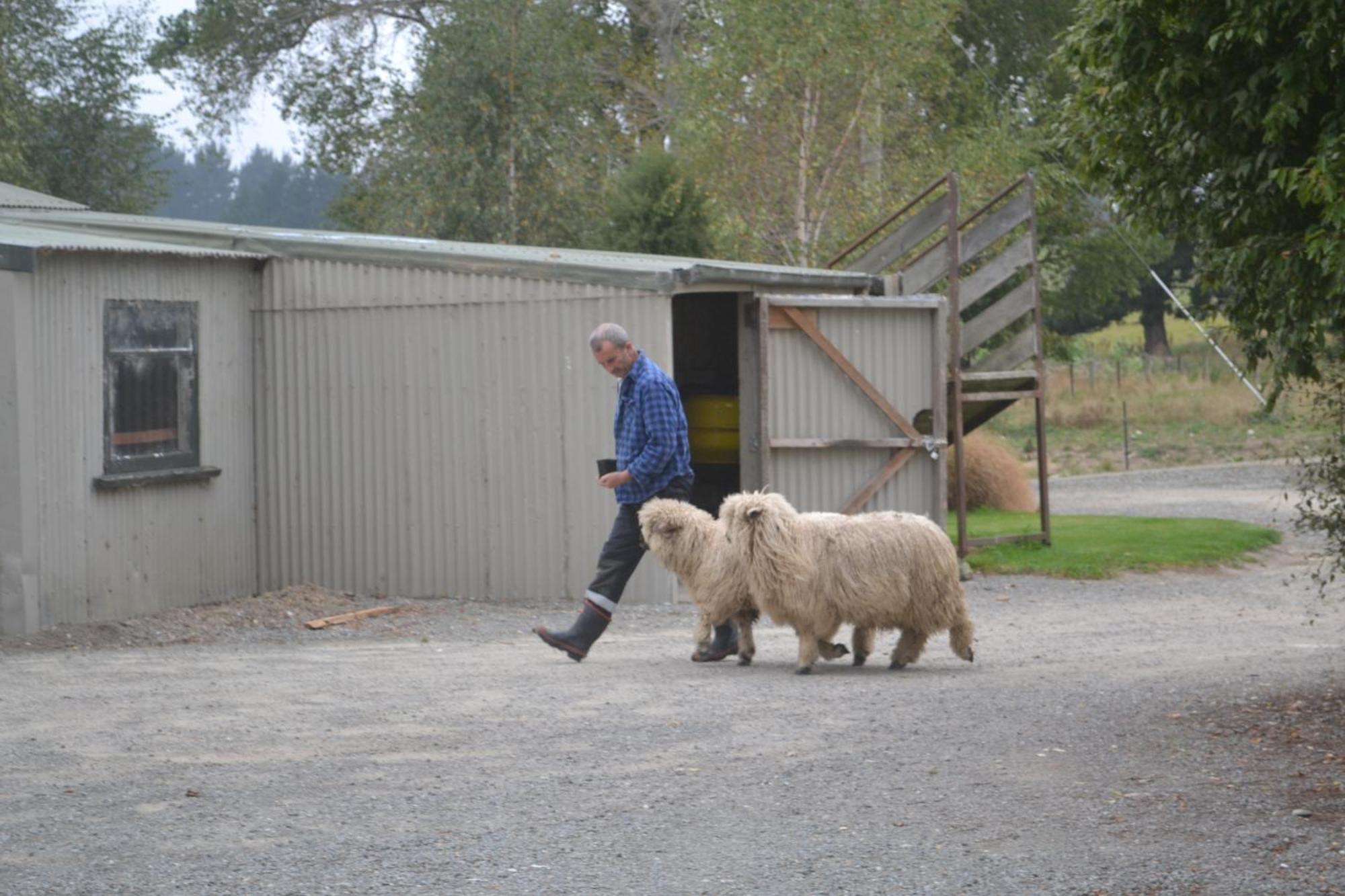 Highlands On Homestead Oamaru Eksteriør billede