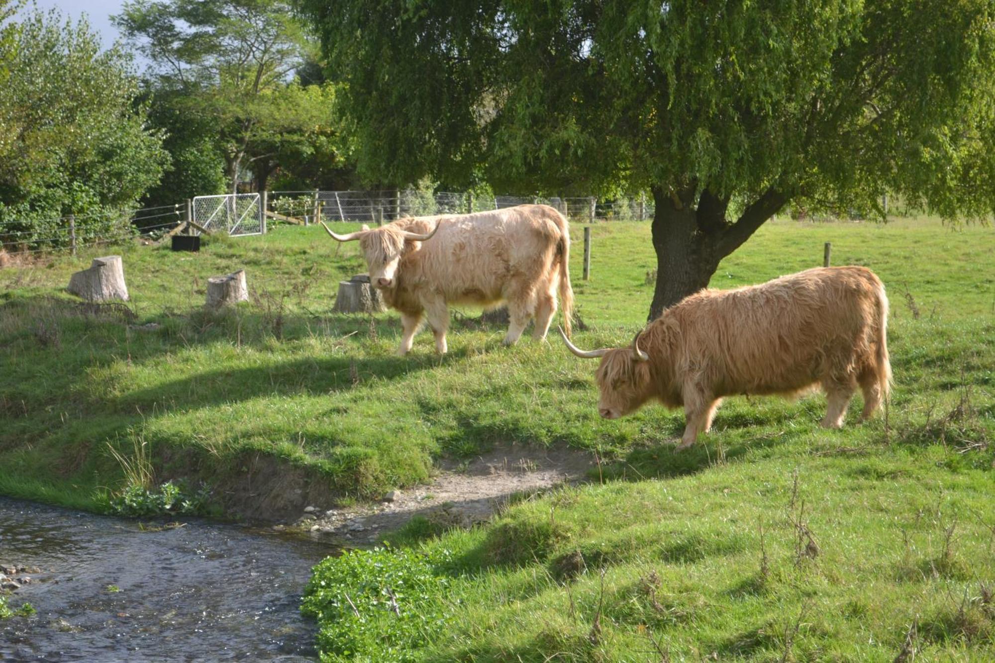 Highlands On Homestead Oamaru Eksteriør billede