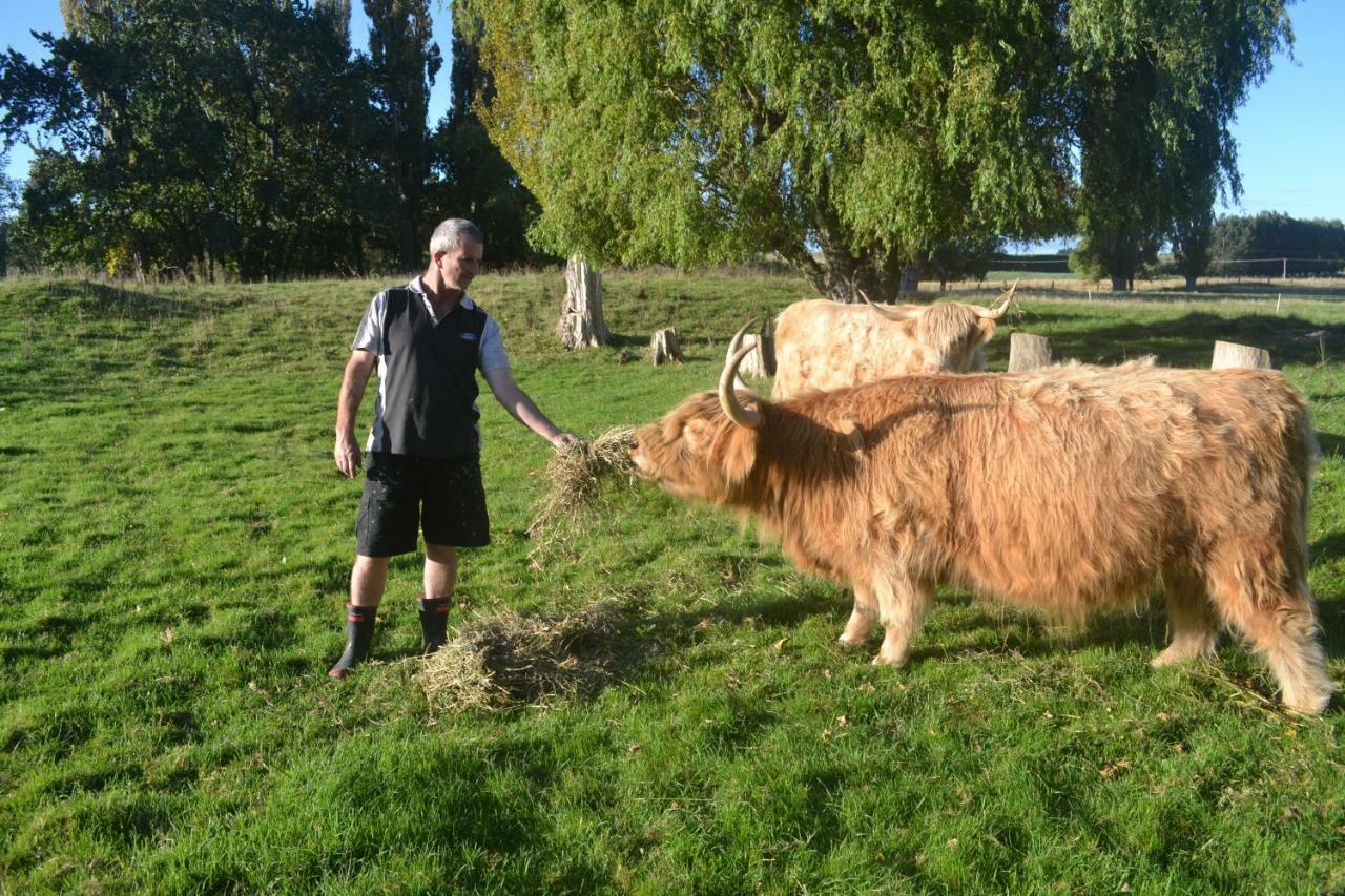 Highlands On Homestead Oamaru Eksteriør billede
