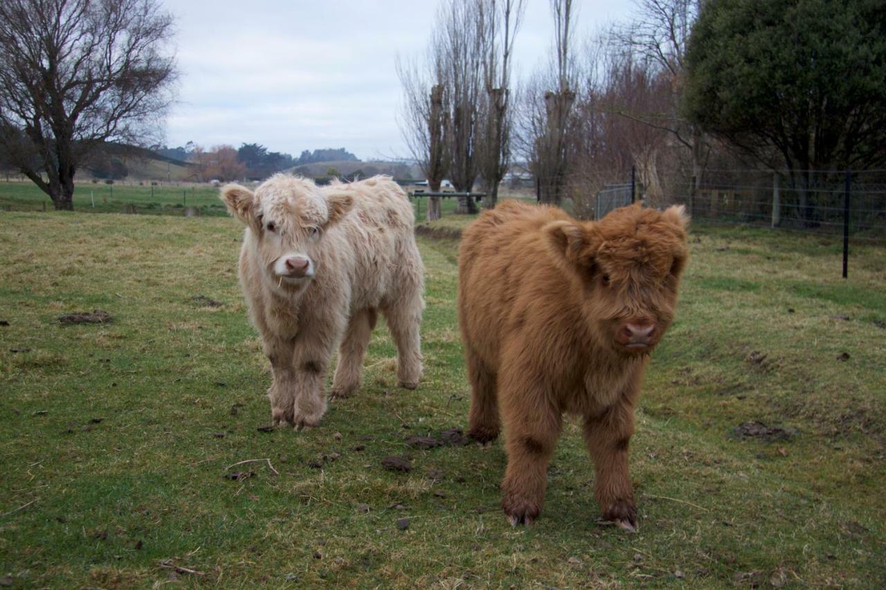 Highlands On Homestead Oamaru Eksteriør billede