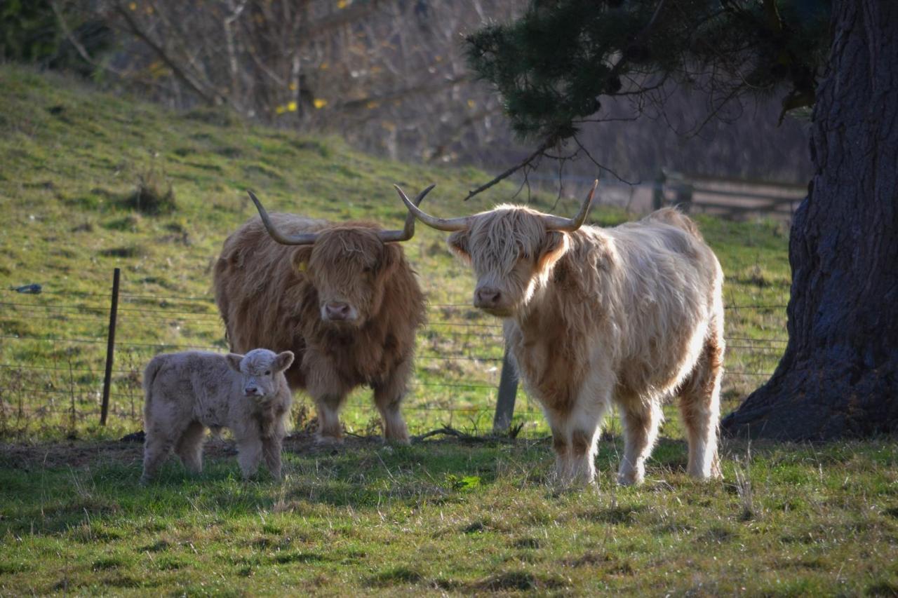 Highlands On Homestead Oamaru Eksteriør billede